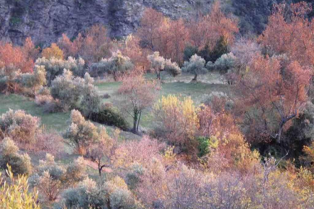 Casa Carmela, Rural House With Spectacular Views, In An Exquisite Area Villa Atalbeitar Exterior photo