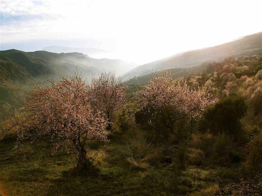 Casa Carmela, Rural House With Spectacular Views, In An Exquisite Area Villa Atalbeitar Exterior photo